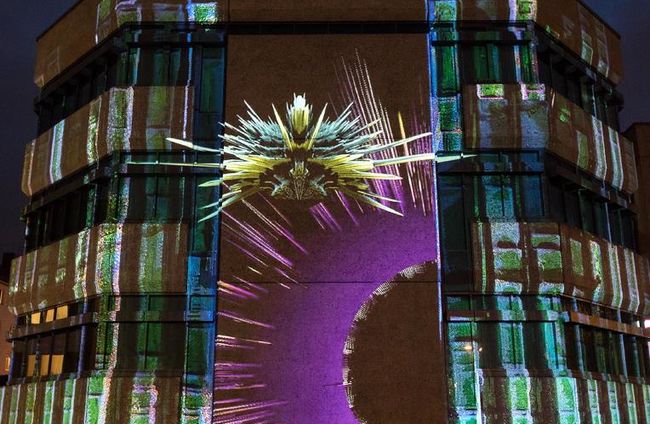 Referenzprojekt Lichtland, Lichtungen Hildesheim 2018 © Casa Magica